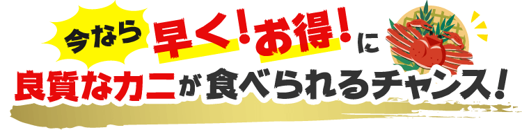 今なら早く！お得！に良質なカニが食べれるチャンス！